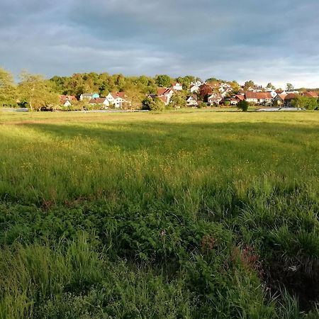 Ferienwohnung Sonnenhalde Moos  Esterno foto