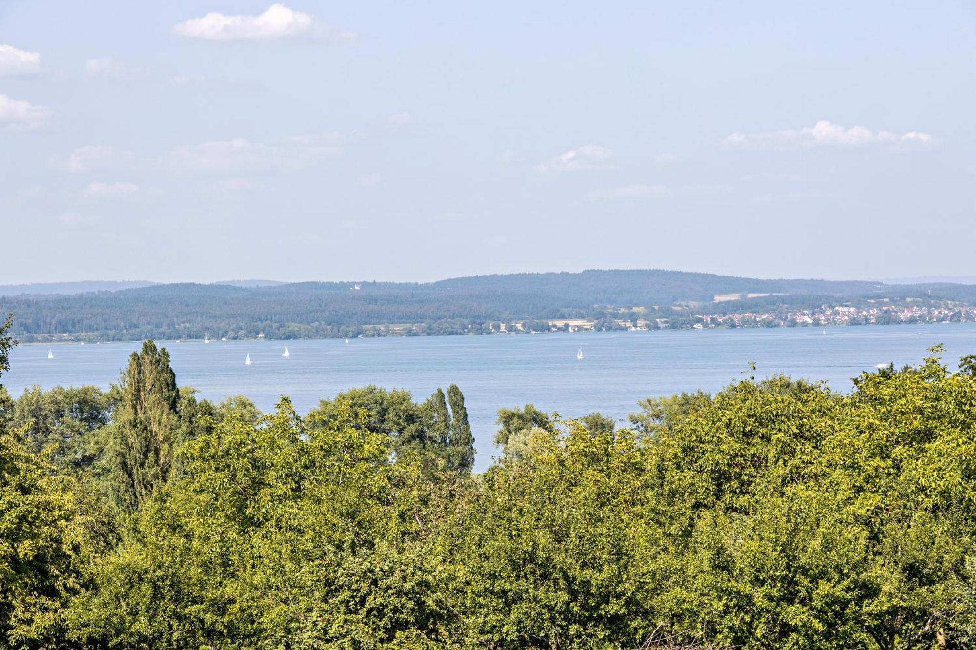 Ferienwohnung Sonnenhalde Moos  Esterno foto