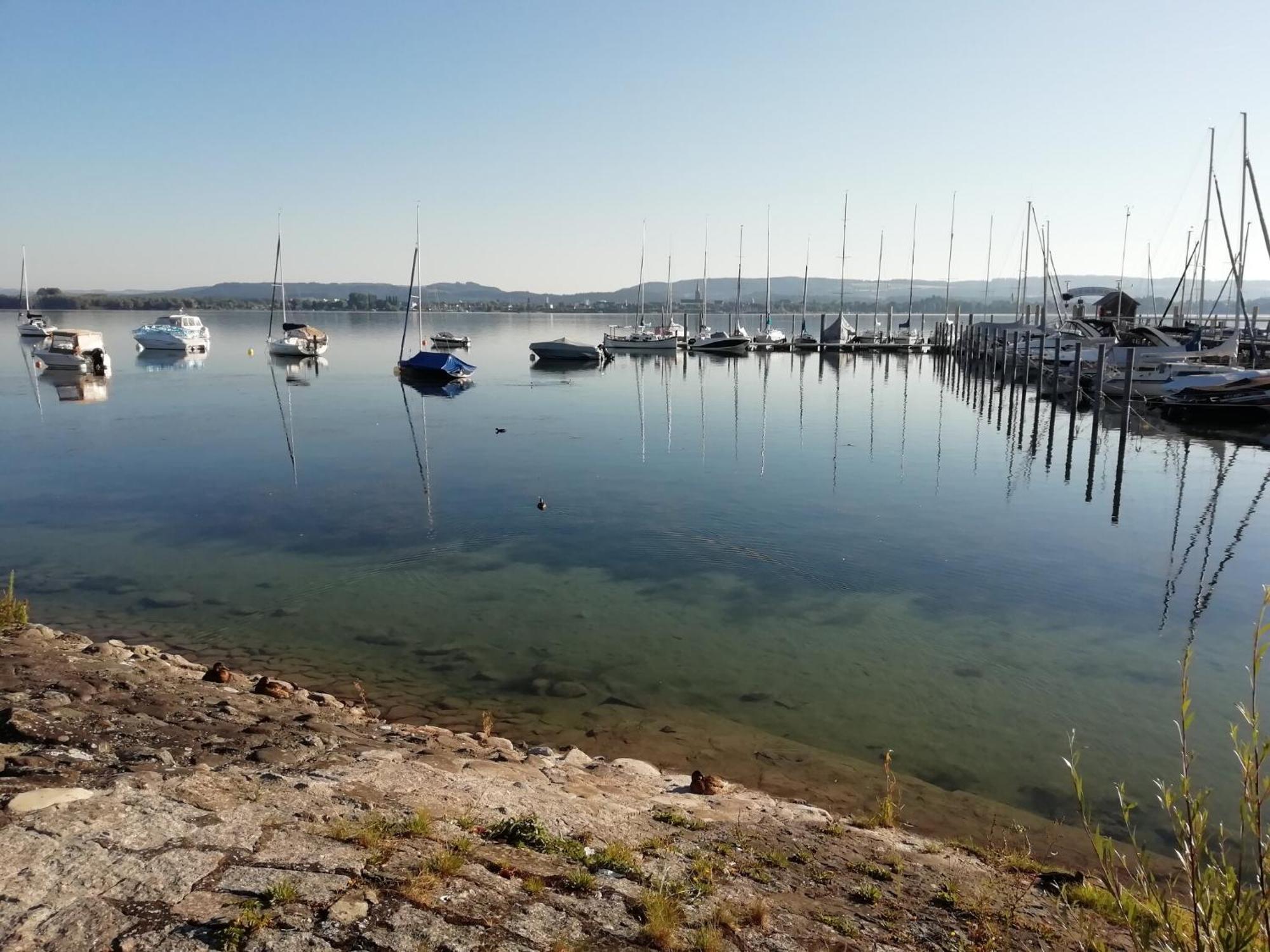 Ferienwohnung Sonnenhalde Moos  Esterno foto