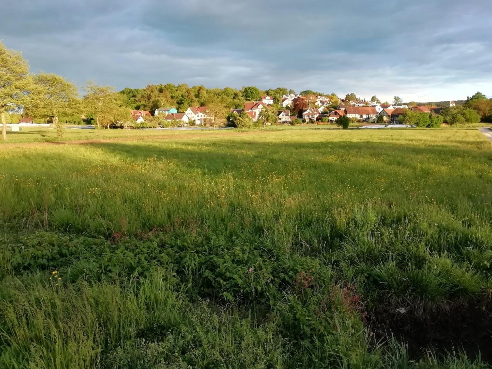 Ferienwohnung Sonnenhalde Moos  Esterno foto